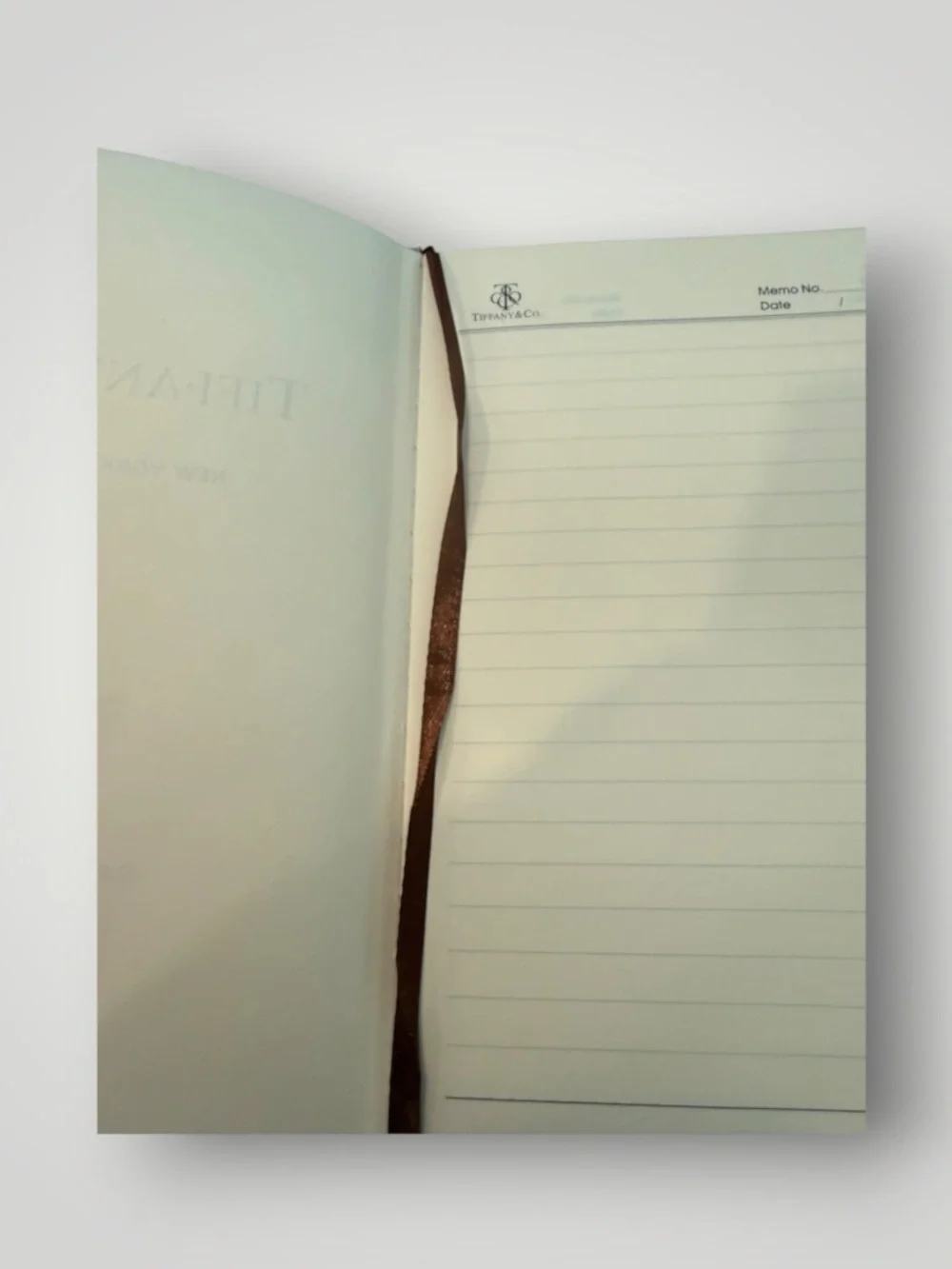 Source Unknown Teal and White Faux Leather Notebook with Gold Ring Closure